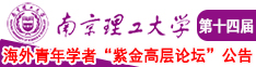 欧美日性爱在线南京理工大学第十四届海外青年学者紫金论坛诚邀海内外英才！